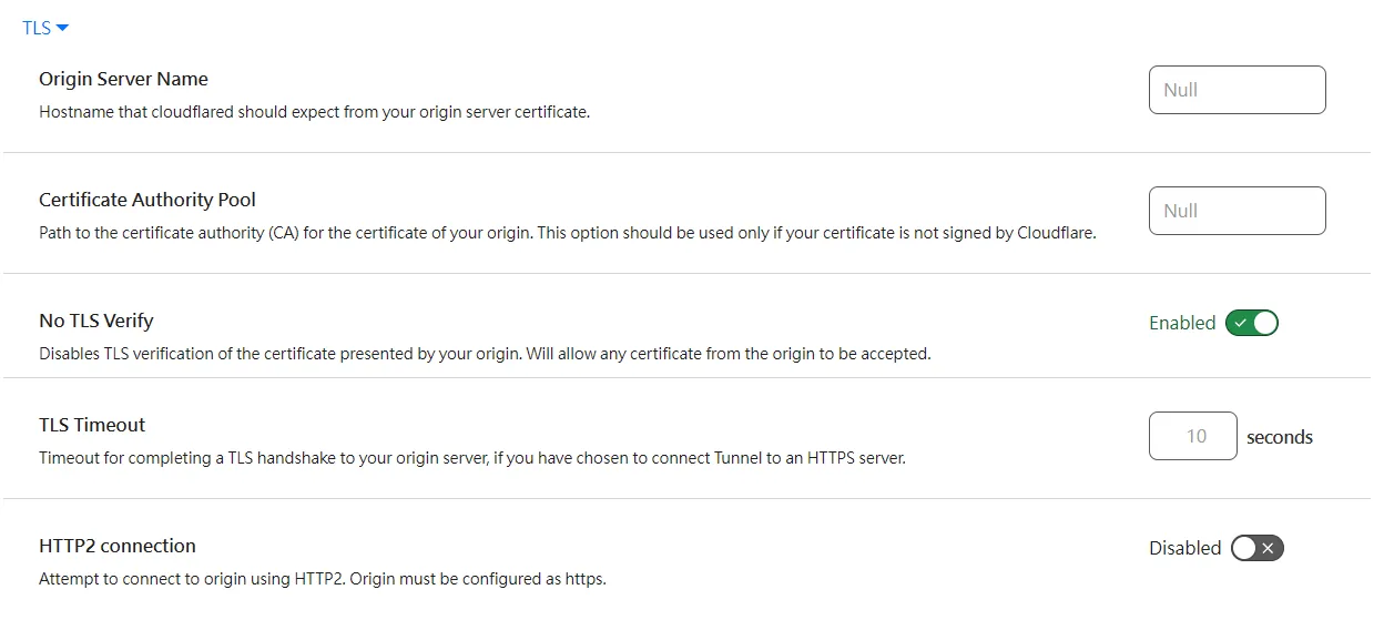 Cloudflare Zero Trust Configure tunnel TLS